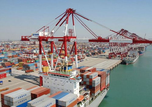 上海機(jī)場國際快遞進(jìn)口報關(guān)與代理服務(wù)詳解