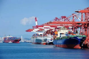 報(bào)關(guān)企業(yè) vs. 進(jìn)出口貨物收發(fā)貨人 理清角色，保障貨物高效通關(guān)